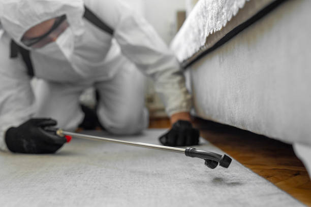 Professional Termite Control technician working in Rock Hill, NY