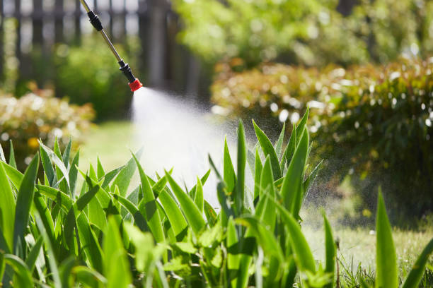 24/7 Emergency Termite Control experts in Rock Hill, NY