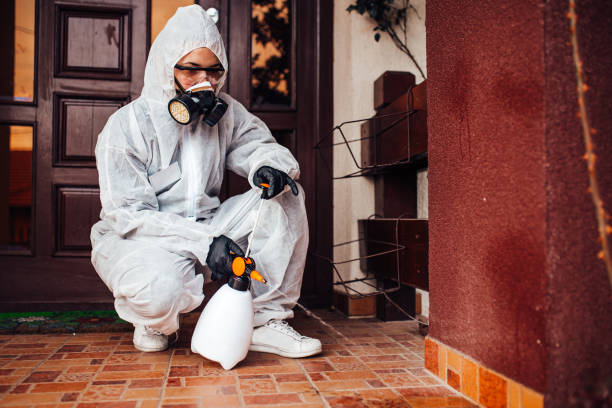 Reliable Termite Control contractor in Rock Hill, NY by Nex Pest Control
