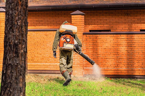 Trusted Termite Control service in Rock Hill, NY - Nex Pest Control